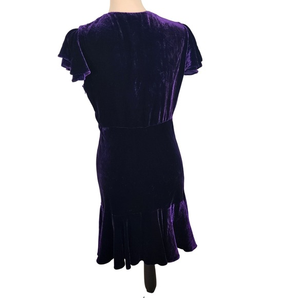 Polo Ralph Lauren Velvet Silk Blend Dress Sz 6 Purple Flutter Sleeve Party - Picture 3 of 15